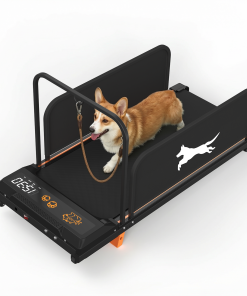 Small Dog Treadmill 2026 Edition