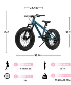 E-CARPAT V20235 20 Inch Fat Tire Bike
