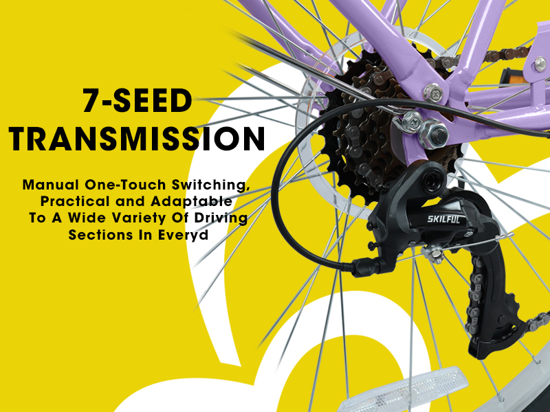 E-CARPAT A26265B 26 Inch 7-Speed Beach Cruiser Bike