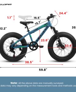 E-CARPAT V20235 20 Inch Fat Tire Bike