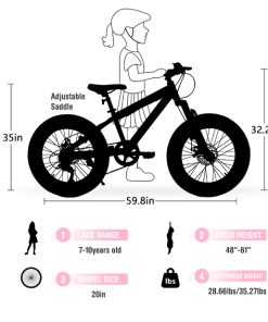E-CARPAT V20235 20 Inch Fat Tire Bike
