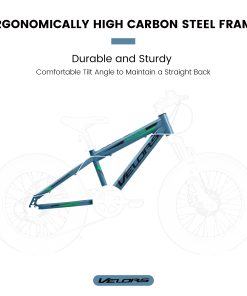 E-CARPAT V20235 20 Inch Fat Tire Bike