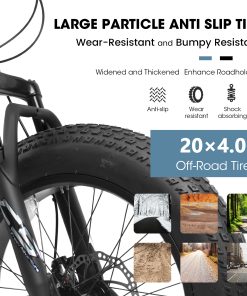 E-CARPAT V20235 20 Inch Fat Tire Bike