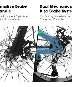 E-CARPAT V20235 20 Inch Fat Tire Bike