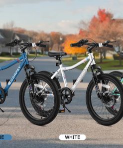 ECARPAT S20101 20 Inch Kids' Bike