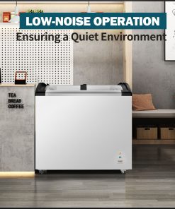 Curved Top Display Freezer 4.6 Cu.ft