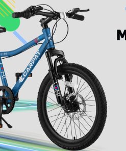 ECARPAT S20101 20 Inch Kids' Bike