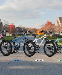 ECARPAT S20101 20 Inch Kids' Bike