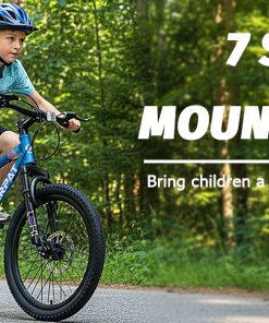 ECARPAT S20101 20 Inch Kids' Bike