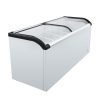 Curved Top Display Freezer 19.3 Cu.ft