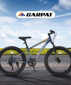 Elecony S24109 24 Inch Fat Tire Bike