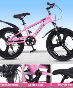 FKZNPJ 20 Inch Single Speed Mountain Bike
