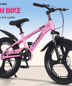 FKZNPJ 20 Inch Single Speed Mountain Bike