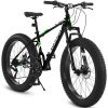 Elecony S26109 26 Inch Fat Tire Bike