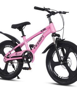 FKZNPJ 20 Inch Single Speed Mountain Bike