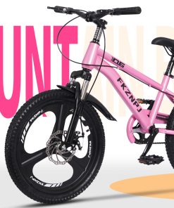 FKZNPJ 20 Inch Single Speed Mountain Bike