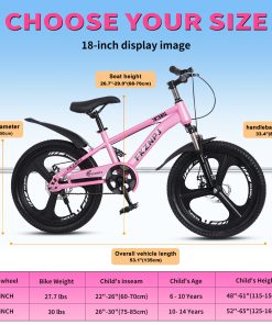 FKZNPJ 20 Inch Single Speed Mountain Bike